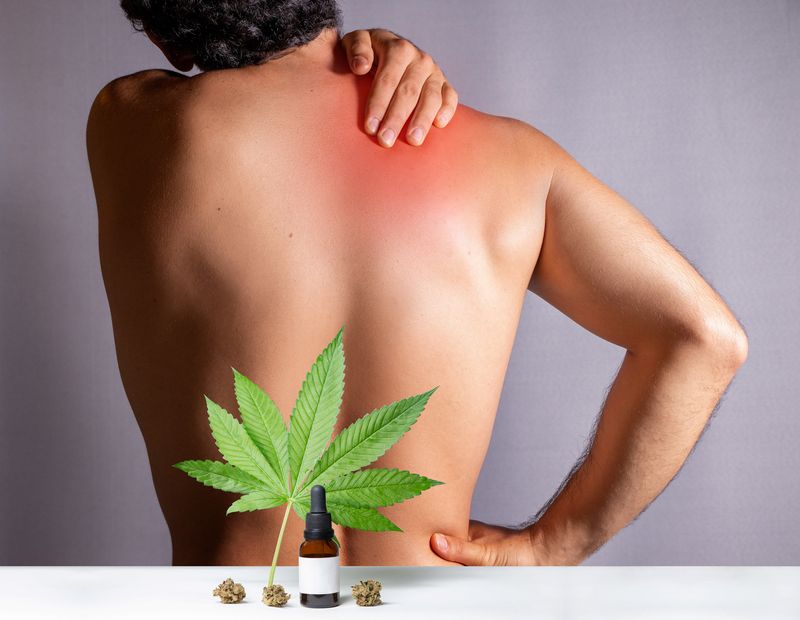 Person with their bare back facing a white wall holding their red shoulder, in front of them is a table with a tincture bottle, a cannabis leaf, and cannabis buds