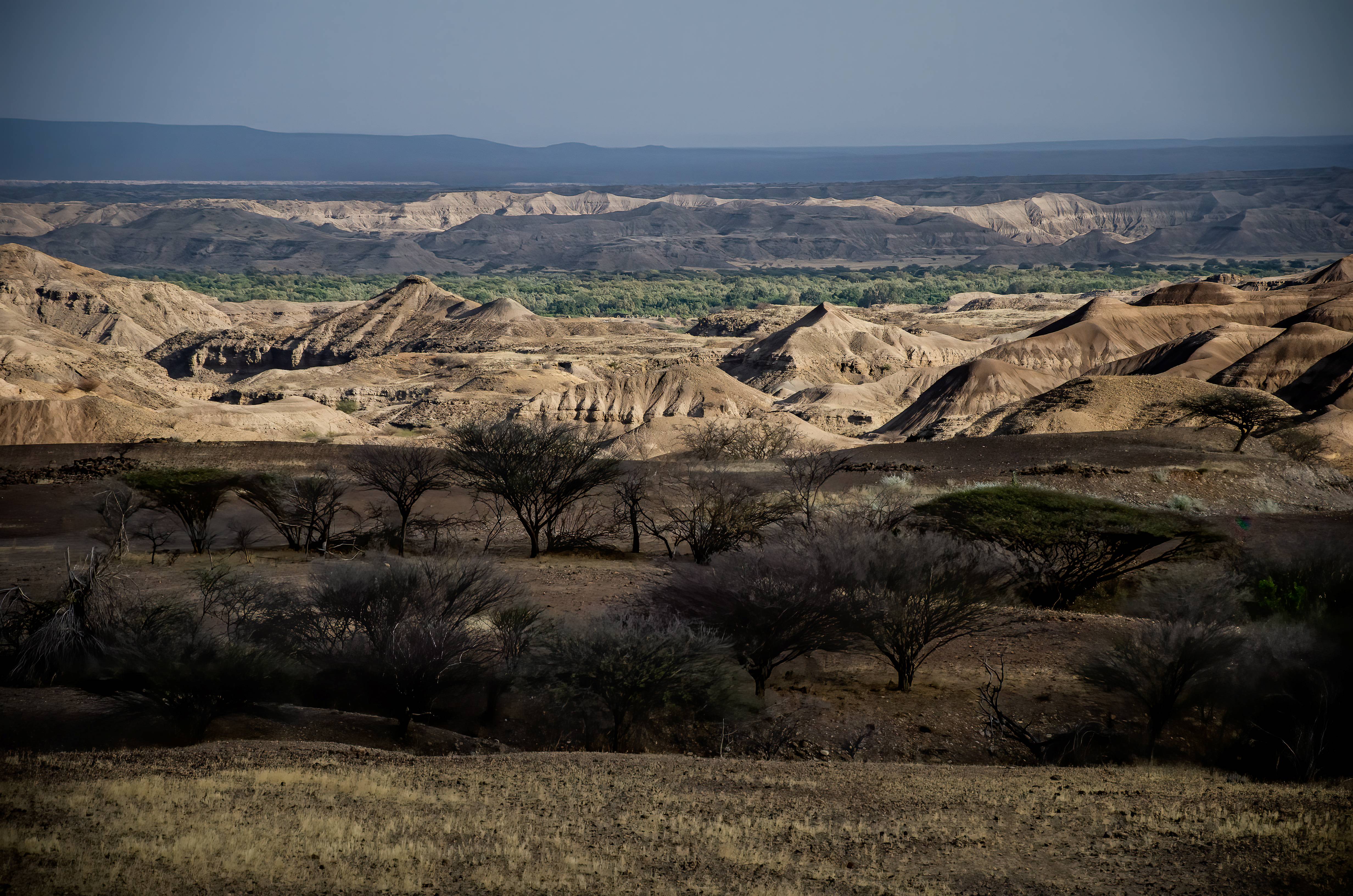 A photo shows the landscape of Hadar, where Lucy's remains were discovered in 1974. The scene is a relatively barren African landscape with small trees and rocky hillsides stretching into the distance.