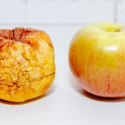 wrinkled apple on a white table next to a shiny fresh apple