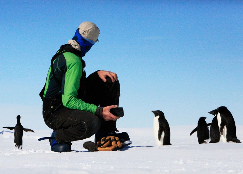 Penguins in Antarctica surround a photographer scientists 