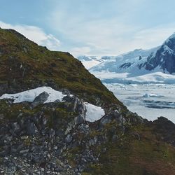 Moss on rocks in Antarctica.