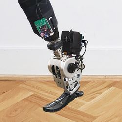 A photograph of the autonomous neuroprosthetic system, a prosthetic leg with a blade-shaped foot