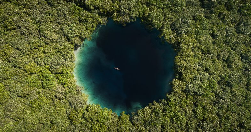 Aerial view of a cenote hidden in the jungle