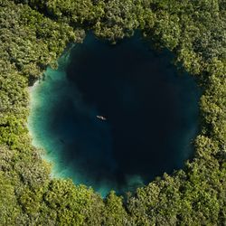 Aerial view of a cenote hidden in the jungle