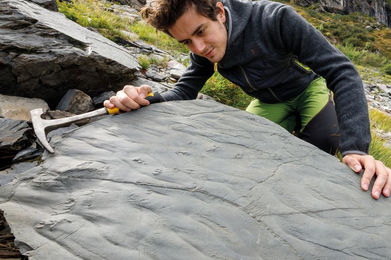 "Boulder 0" contains a piece of fossilized lake shore that preserves details of ripples produced by waves, as well as imprints of a reptile who walked across and left the prints of its legs and tail.