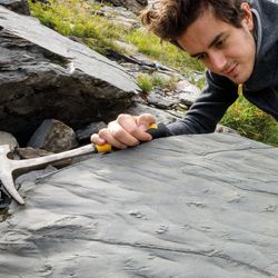 "Boulder 0" contains a piece of fossilized lake shore that preserves details of ripples produced by waves, as well as imprints of a reptile who walked across and left the prints of its legs and tail.