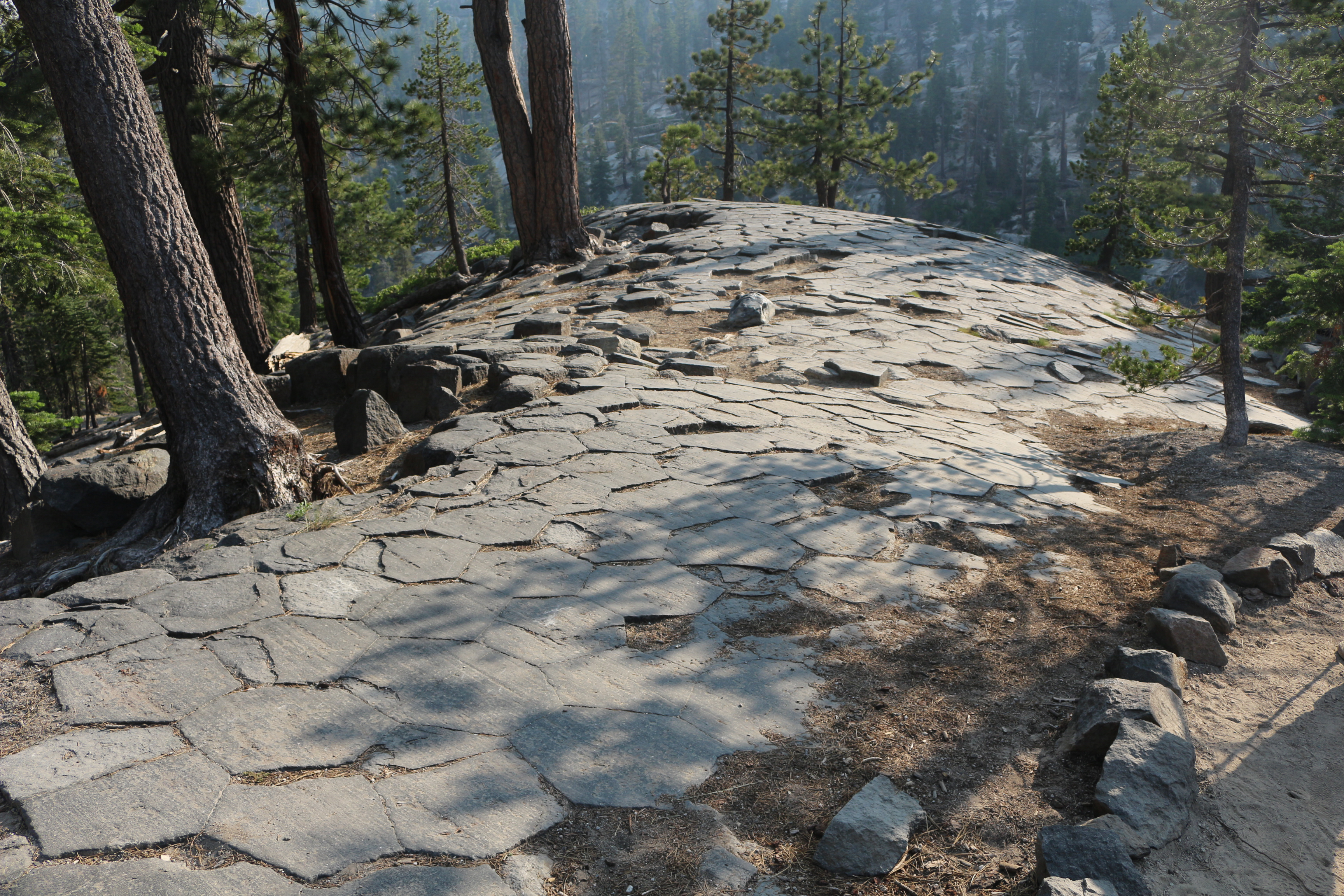 the top of the Devils Postpile formation, featuring closely packed hexagons of rock