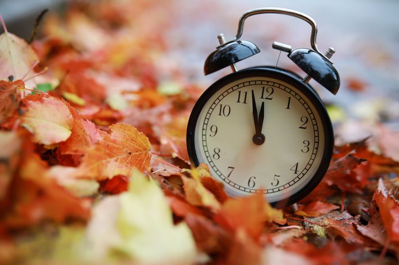 alarm clock on autumn leaves natural background