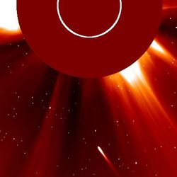 A coronagraphed image of the Sun. The comet is visible with a long tail approaching our star.