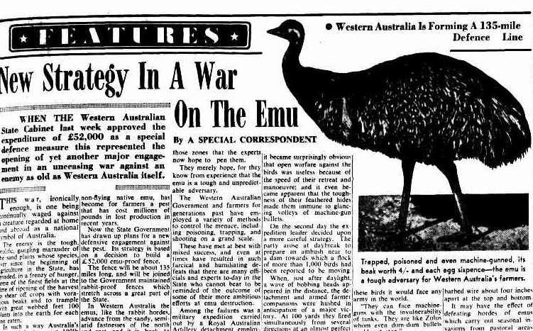 content-1492444700-emu-war.jpg