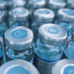 macro of rows of vaccine bottles, photographed from the top