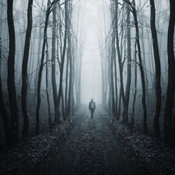 The Unsettling Explanation Of The Dark Forest Hypothesis: Why Aliens Haven't Made Contact