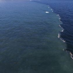 Drone aerial image of the sharp front dividing clear ocean waters from a turbid freshwater river plume fed by the melting of the Greenland Ice Sheet