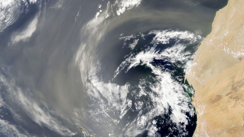 Satellite image of a dust storm blowing off the coast of the Western Sahara in July 2022.