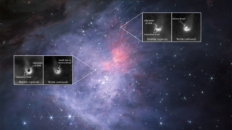 A jwst image of the wispy orion nebula. Two insets show the candidates of brown dwarf with protoplanetary disks