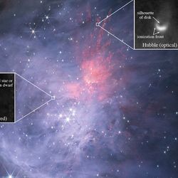 A jwst image of the wispy orion nebula. Two insets show the candidates of brown dwarf with protoplanetary disks