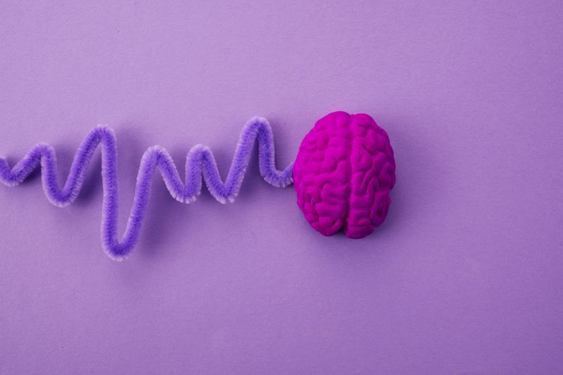 purple background with deep pink human brain and purple pipe cleaner coming off to the left and bent to look like an EEG waveform; purple is the colour of epilepsy awareness