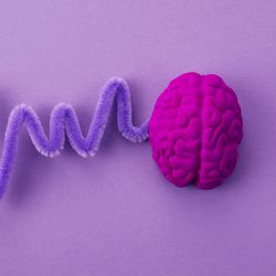 purple background with deep pink human brain and purple pipe cleaner coming off to the left and bent to look like an EEG waveform; purple is the colour of epilepsy awareness