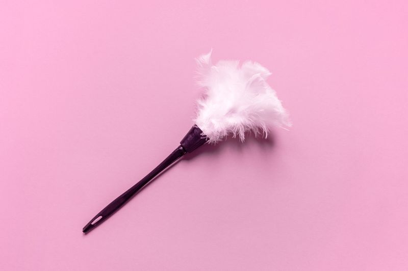 feather duster on pink background