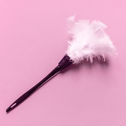 feather duster on pink background