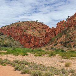  Dry riverbed of Finke River