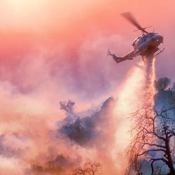 Fire fighting helicopter carry water bucket to extinguish the forest fire