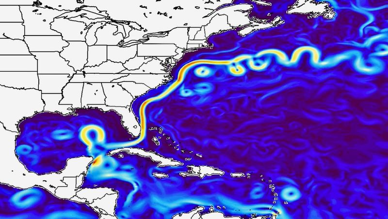 The Florida Current represents the beginnings of the Gulf Stream, the mighty current that shapes the planetary climate.