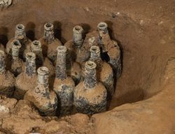 fruit-containing glasses bottles found at mount vernon