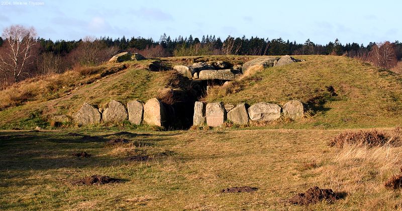 A photo taken early morning of a Funnel Beaker culture dolman showing an earth mount with an entrance leading into its interior. The entrance has four large stone lined up on its right side and five stones on its left. 