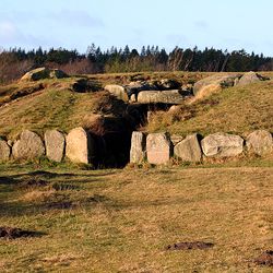 A photo taken early morning of a Funnel Beaker culture dolman showing an earth mount with an entrance leading into its interior. The entrance has four large stone lined up on its right side and five stones on its left. 