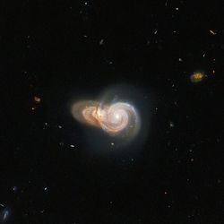 Hubble photographed two spiral galaxies, named SDSS J115331 and LEDA 2073461