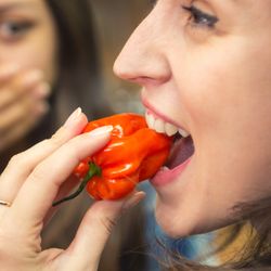 A woman eats a red chili pepper, while a shocked friend watches