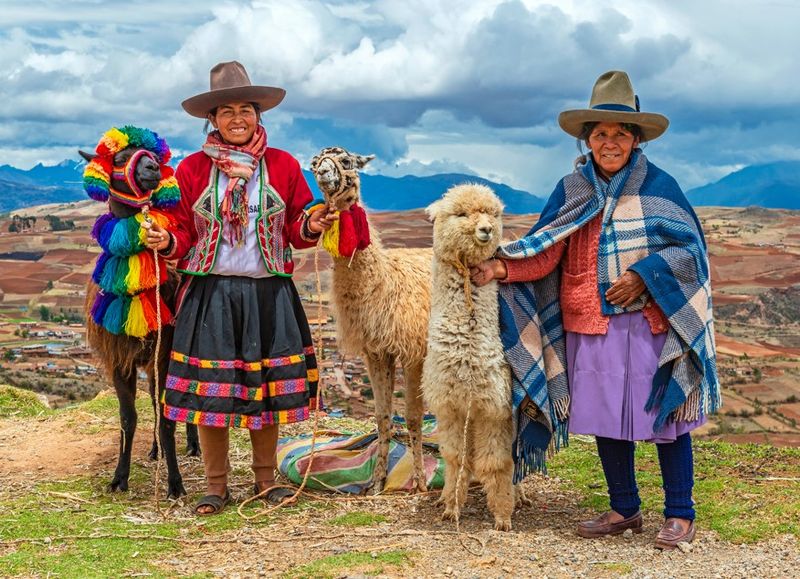 Inca medicinal plants