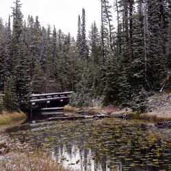 Isa Lake in Yellowstone National Park, looking west to the Madison River drainage towards the Atlantic.