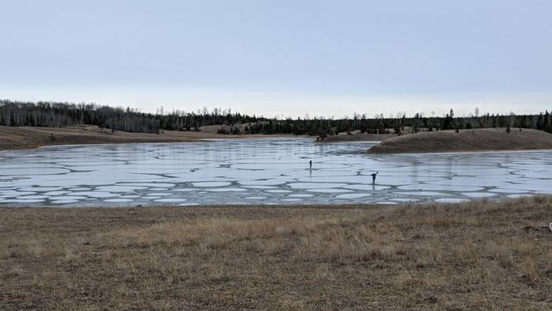 A panoramic photo showing the shallow waters of Last Chance Lake surrounded by dry, spars grass and a horizon occupied by a line of trees. 