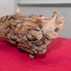 A 3,775 year old Eastern cedar log, discovered in Quebec