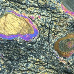  Mantle rock recovered during the project viewed down a petrographic microscope, revealing a history of both mantle melting and seawater-rock interaction.