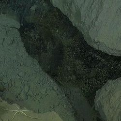 MBARI's MiniROV surveys of the Arctic seafloor uncovered layers of fresh permafrost ice (shown in black), which formed as groundwater from melting permafrost refroze upon reaching the cold seafloor surface."