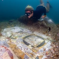 A female diver is looking at part of the marble floor. The floor consists of multiple square marble shapes encircles with rounder stones. There are two of the same blue coloured surrounding and one with a red colour to the left of the image. 