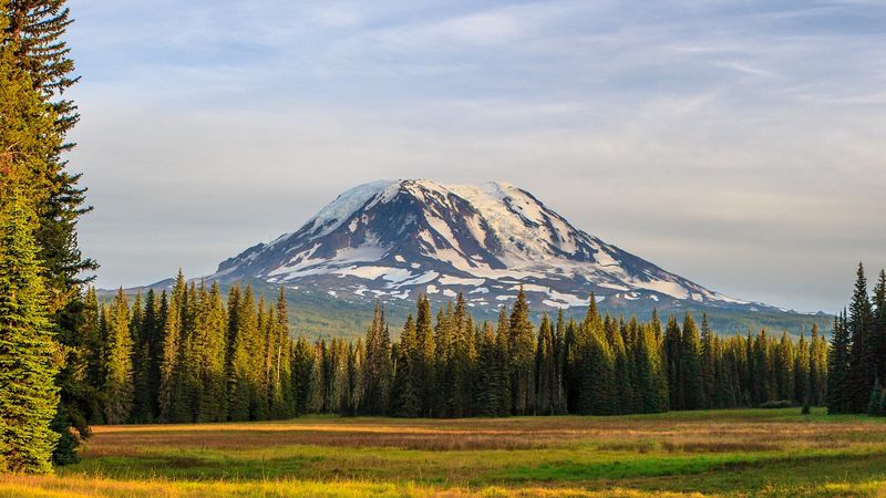 distant view of Mount Adams from a field; the volcano is seen in the background covered in snow