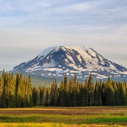 distant view of Mount Adams from a field; the volcano is seen in the background covered in snow