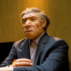 A model of a Neanderthal man in modern clothing at the Neanderthal Museum in Mettmann, Germany.