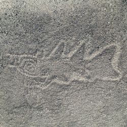 New Al Nazca geoglyph depicting an orca with a knife