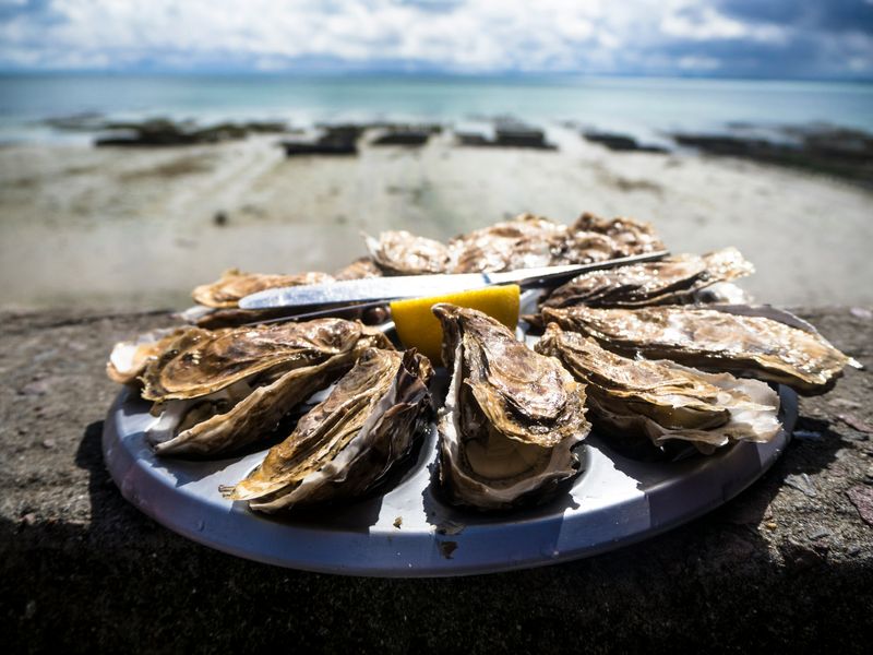 Oyster on a plate with lemon Infront of a seaside scene and sky.