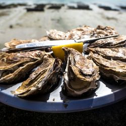 Oyster on a plate with lemon Infront of a seaside scene and sky.