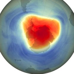 The ozone hole is red and roughly traingular covering the whole antarctic continent while the rest of the ozone coverage is pretty healthy