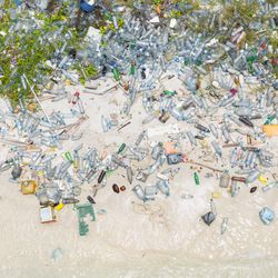 An aerial photo showing masses of plastic bottles washed up on a shoreline. The bottom of the image shows the water's edge and the white sand, but above this line are thousands of bottles and other forms of plastic. 