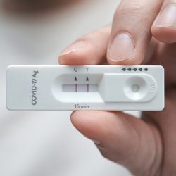 close up of hand holding rectangular white lateral flow kit with two lines, indicating a positive test for COVID-19