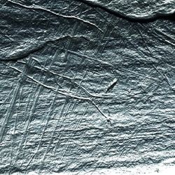 15,800-year-old engraving of a fish in a net