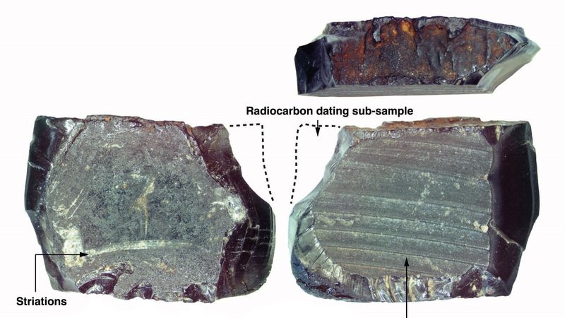 Tree resin artifact excavated from Mololo Cave, dated to 50,000-55,000 years old